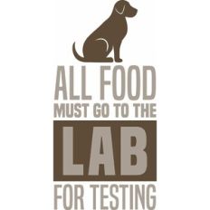 Lab For Testing