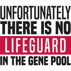 No Lifeguard