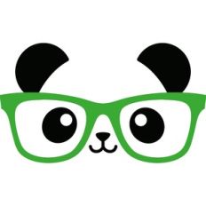Panda with glasses