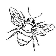 bee
