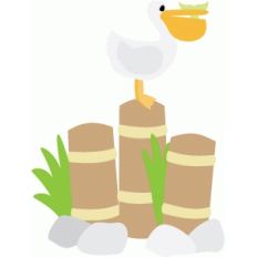 pelican