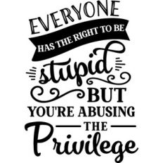 Everyone Right To Be Stupid You Abuse Privilege