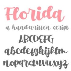 ZP Florida Bold
