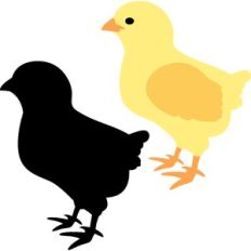 baby chick and silhouette