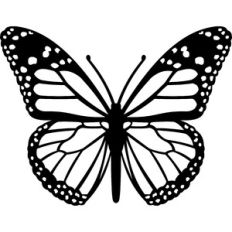 butterfly silhouette
