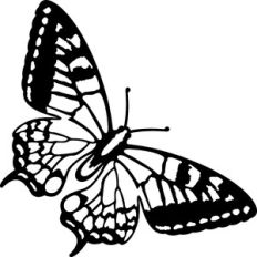 butterfly silhouette