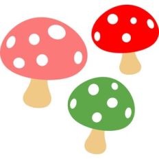 mushrooms set