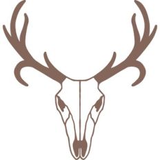 deer skull