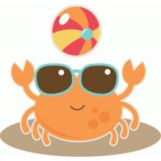 crab at beach