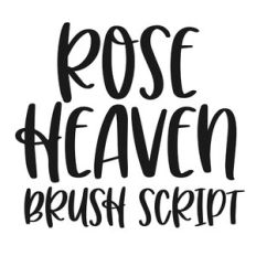 BFC Rose Heaven Brush Script Font