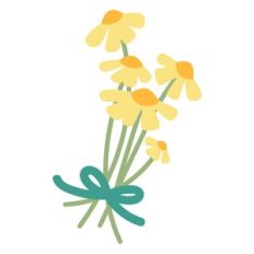 Daisies