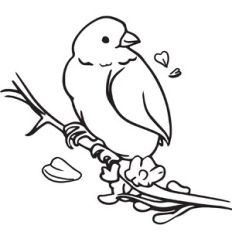 Bird on Tree
