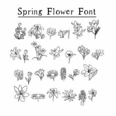 Spring Flower Dingbat Font