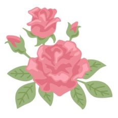 Roses