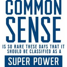 Common Sense