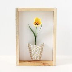 Tiny Tulip in Half Vase