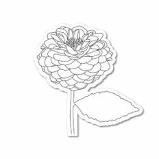 Ball Dahlia Sketch