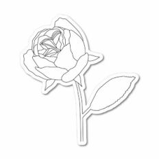 Juliet Rose Sketch