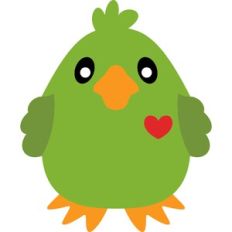cute parrot