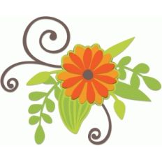 daisy swirl