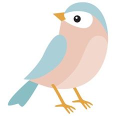 Spring Bird