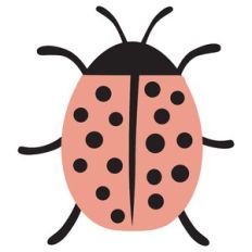 Lady Bug