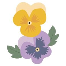 Pansies
