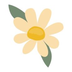 Yellow Flower