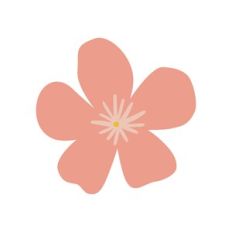 Pink Flower