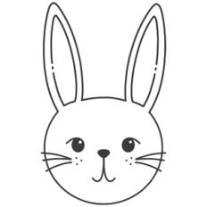 Cute Bunny