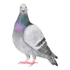 Watercolor Pigeon Bird Printable for Cards, Journals, Planners and Craft Projects