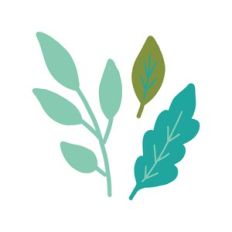 Leaf Set