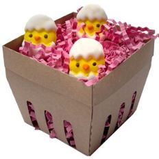 Berry Basket