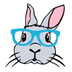 Bunny With Glasses