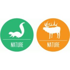 squirrel and elk nature badges