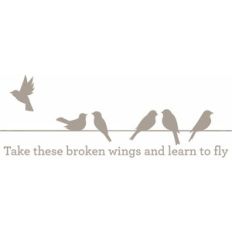 learn to fly