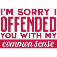 sorry if i offended you with my common sense