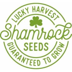 lucky harvest shamrock seeds
