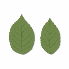 Rose Leaves with Score Lines