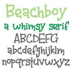ZP Beachboy