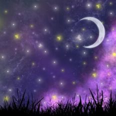 Firefly Night Sky Background Pattern