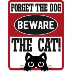 Forget the dog Beware the Cat!