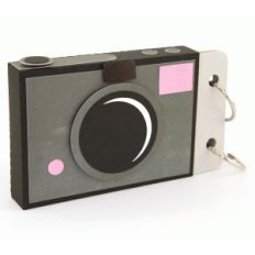 3d lori whitlock camera mini album