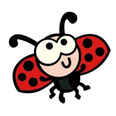 Ladybug