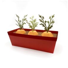 Carrot Planter Box