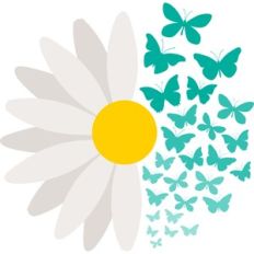 daisy with butterflies