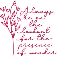 always be on the lookout for the presence of wonder