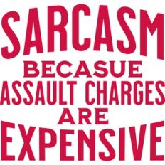 sarcasm becasue assault charges are expensive