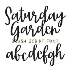 BFC Saturday Garden Brush Script Font