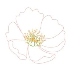 Anemone Sketch